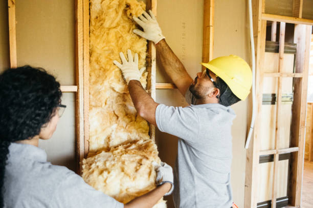 Best Wall Insulation Installation  in Shoh, IL